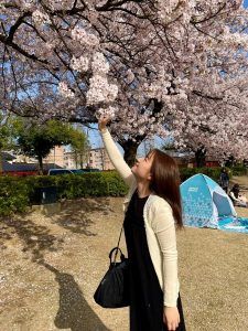 数年前のお花見写真。