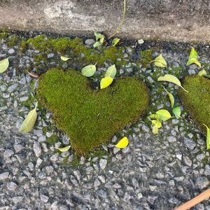 ２０２６年もよろしくお願いします！